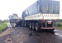 Caminhoneiro morre em acidente na BR-452, em Uberlândia-MG