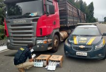 Contrabando de 375 mil pacotes de cigarros paraguaios é flagrado na BR-280, em SC