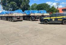 Cargas com 72 toneladas de excesso são flagradas na BR-101, em Teixeira de Freitas (BA)