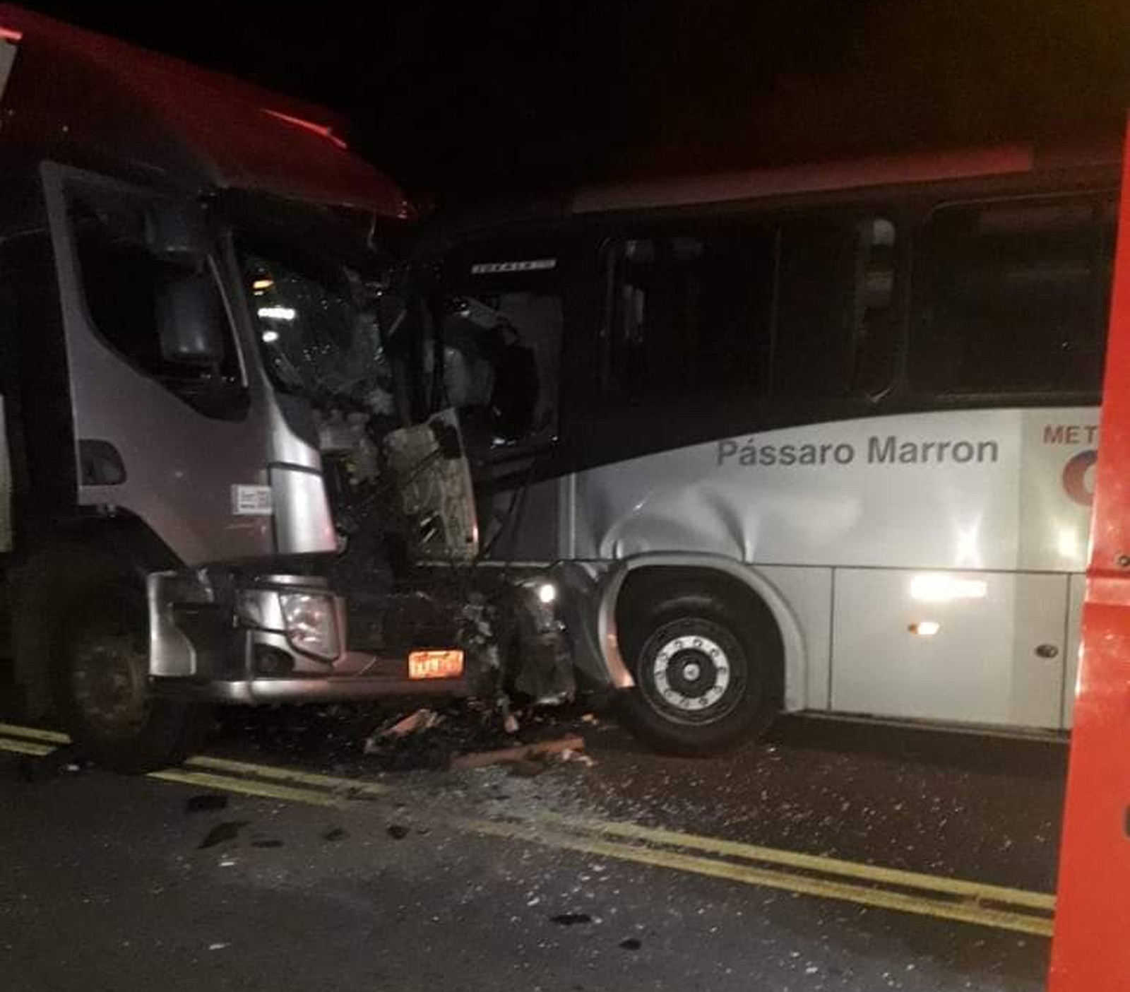 Acidente_BR_459_Onibus_Passaro_Marron