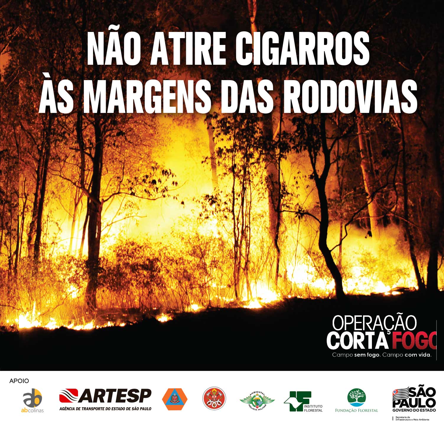 Estradas | Campanha orienta sobre prevenção de incêndios às margens de  rodovias