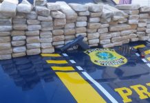 PRF apreende quase meia tonelada de maconha no Ceará