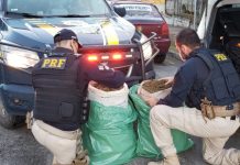 PRF apreende 35 quilos de maconha na BR-235, em Frei Paulo