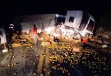 Caminhoneiro morre em acidente na BR-146 em Araxá (MG)