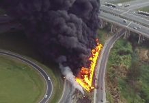 Operação Corta-Fogo combate incêndios florestais em SP