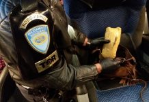Jundiaiense é presa com mais de dez quilos de drogas em ônibus na SP-270