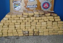 Motorista de micro-ônibus é preso com mais de 100 kg de maconha na BA-046
