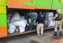PRF apreende toneladas de mercadorias em ônibus na BR-324