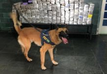 Carga de cesta básica levava maconha e cocaína, em S. Gonçalo de Sapucaí (MG)