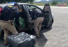 PRF apreende 116 Kg de maconha na BR-232
