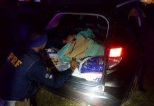 Perseguição no Paraná termina em prisão e apreensão de quase 300 Kg de drogas