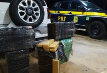 Operação Flagellum apreende mais de 1 tonelada de maconha no Paraná