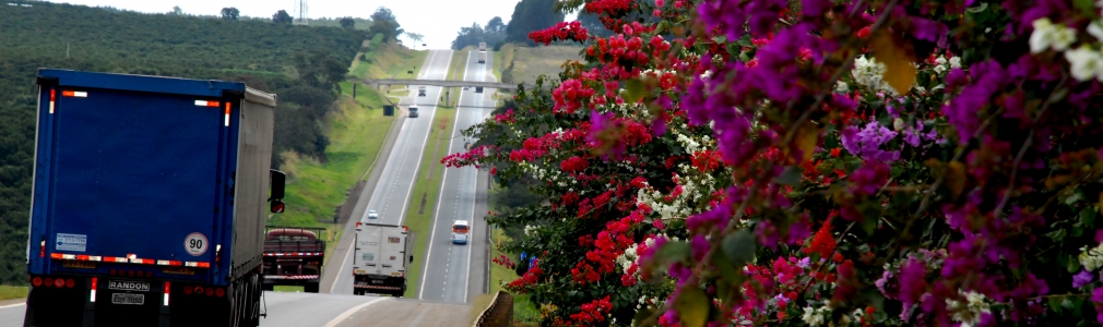 Rodovia_Renovias