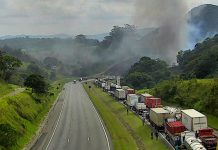 D. Pedro I (SP-065) registra recorde de queimadas nos últimos 11 anos