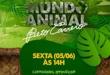 Beto Carrero World faz transmissão ao vivo nesta sexta (5) sobre o Mundo Animal