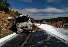 Acidente entre três caminhões e um ônibus deixa feridos na BR-251
