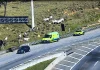 Animal na pista exige reação rápida, mas movimento brusco pode provocar acidente