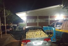 Polícia Rodoviária do MS bate recorde de apreensão de drogas no 1º semestre