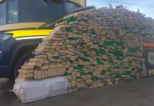 PRF apreende quase 1 tonelada de maconha e munições em Ibema (PR)