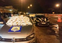 PRF apreende R$ 160 mil em drogas transportadas na BR-101 no RJ