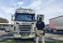 Bitrem é recuperado pela PRF na BR-101, em Joinville (SC)