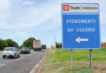 Transbrasiliana lança campanha de preservação da fauna silvestre
