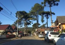 Os passeios pela desejada (e fria) Monte Verde voltaram