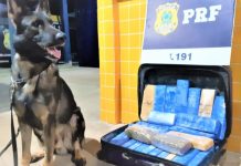 PRF da Bahia apreende 22 kg de drogas na BR-242, em Barreiras