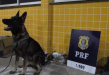 Mulher é presa na BR-242 transportando maconha escondida em sacos de arroz