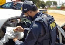 PRF prende na BR-060, no Gama (DF), motorista de aplicativo com skunk