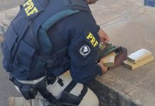Idosa de 65 anos é flagrada na BR-365 com maconha dentro de ônibus