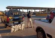 PRF apreende 63 kg de maconha no pedágio da BR-381, em MG