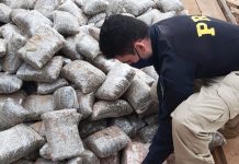 PRF apreende 4,5 toneladas de drogas sob carga de madeira na BR-163, no MS