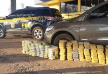 PRF apreende na BR-262 mais de R$ 16,4 milhões em cocaína em Miranda (MS)