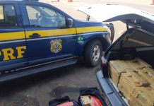 Carro com mais de 300 Kg de maconha é aprendido na BR-487, no Paraná