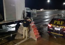 Motorista é preso com mais de 1 tonelada de maconha na BR-381