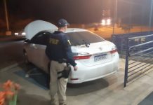 PRF prende casal na BR-116 com diversas armas de fogo em Leopoldina (MG)
