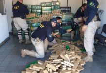 Caminhoneiro é flagrado com 2 toneladas de maconha na BR-381, em MG