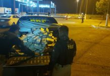 Caminhoneiro é preso na BR-364, em MT, com 400 kg de drogas
