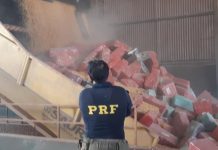 Traficante é preso na BR-163 com 6,2 toneladas de maconha e 6 kg de skunk