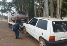 Agepan reforça fiscalizações para coibir transporte clandestino no MS