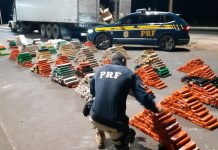 PRF apreende na BR-153, em Prata (MG), drogas avaliadas em mais de R$1,6 milhão