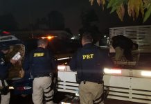 PRF apreende na BR-381, em Betim (MG), mais de 1 tonelada de maconha