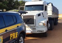 PRF apreende 2,5 toneladas de maconha na BR-376, em Ivinhema (MS)