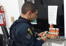Anestésico para cavalos é apreendido em ônibus na Régis Bitencourt (BR-116)