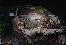 Colisão na BR-373 mata caminhoneiro e fere mulher, em Imbituva (PR)