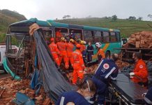 Colisão de ônibus com caminhão deixa 8 feridos na Fernão Dias (BR-381)