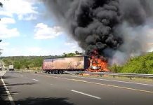 Vídeo de acidente na SP-333 mostra motorista que morreu carbonizado