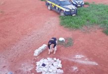 Caminhoneiro é preso pela PRF com drogas avaliadas em mais de R$ 6,9 milhões
