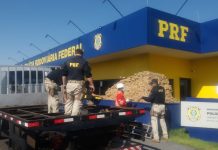 PRF apreende meia tonelada de maconha na BR 153, em SP